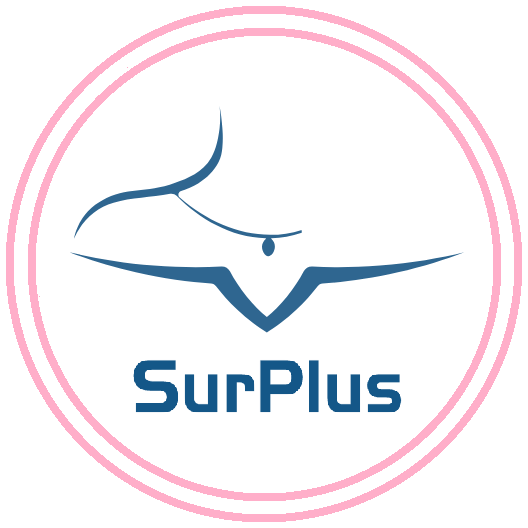 适普医疗 Logo